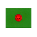 Zhao Xintong Signed Red Ball
