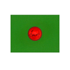 Zhao Xintong Signed Red Ball