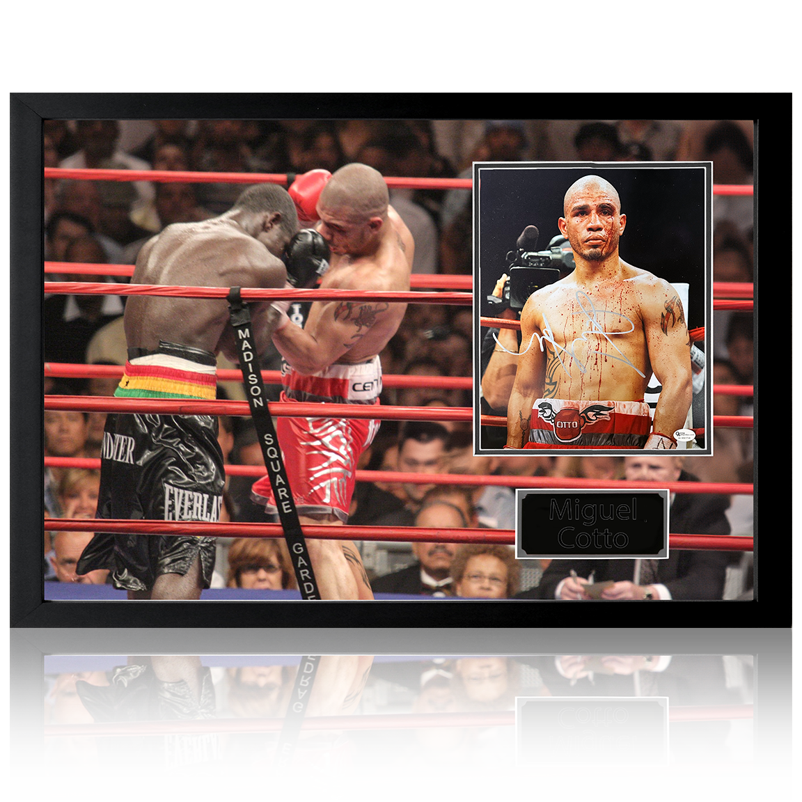 Miguel Cotto Signed Boxing Iconic Frame