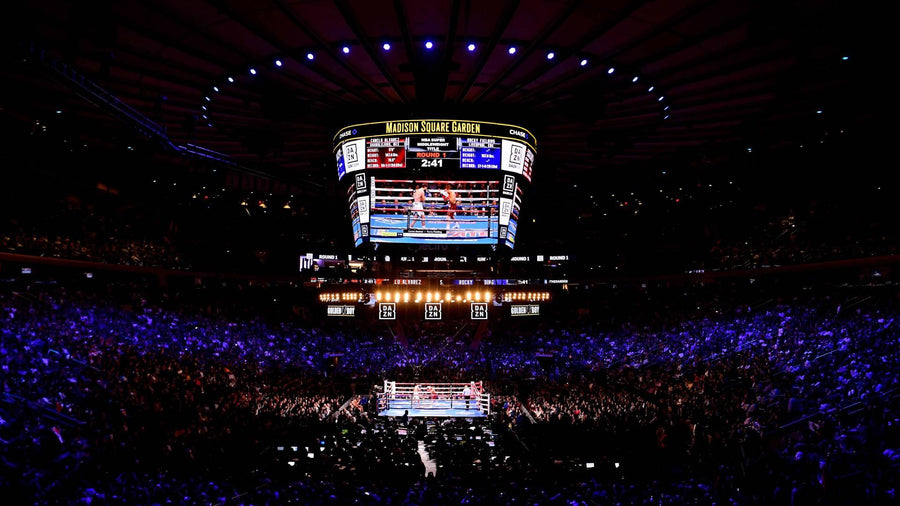 boxing Memorabilia