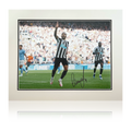 Callum Wilson Signed Newcastle United Deluxe Mount