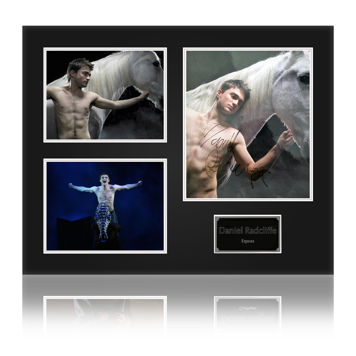 Daniel Radcliffe Equus Signed Deluxe Mount Display