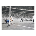 Gordon Banks Signed England 16x12 #1