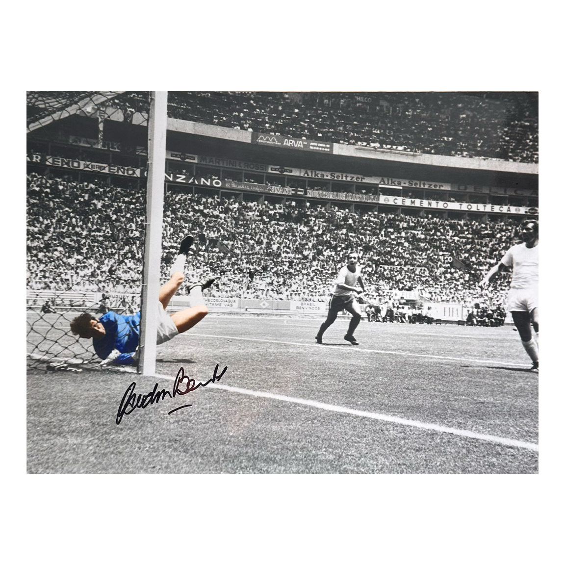 Gordon Banks Signed England 16x12 #1
