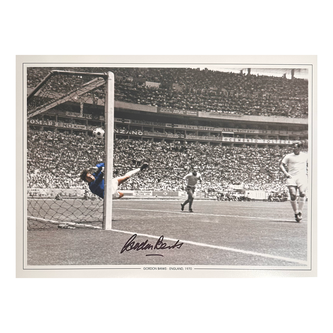 Gordon Banks Signed England 16x12 Photo