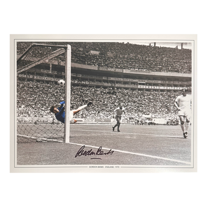 Gordon Banks Signed England 16x12 Photo