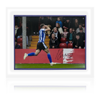 Lee Gregory Sheffield Wednesday Signed Deluxe Mount