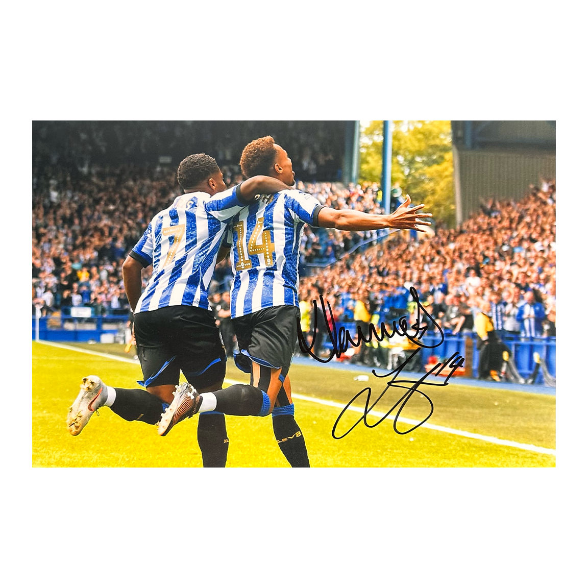 Jacob Murphy & Kadeem Harris Signed Sheffield Wednesday 12x8 #1