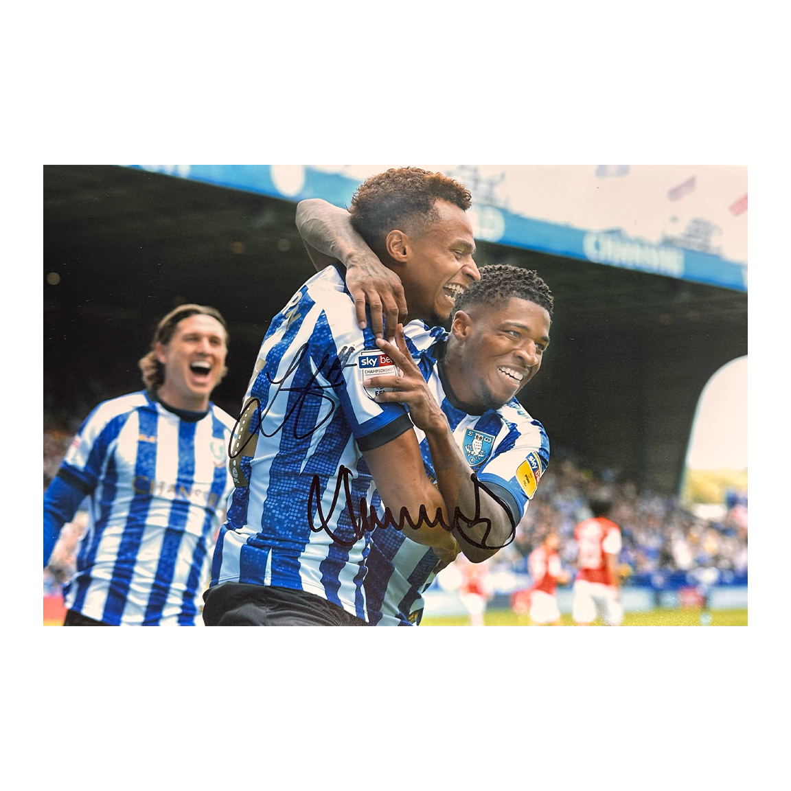 Jacob Murphy & Kadeem Harris Signed Sheffield Wednesday 12x8 #4