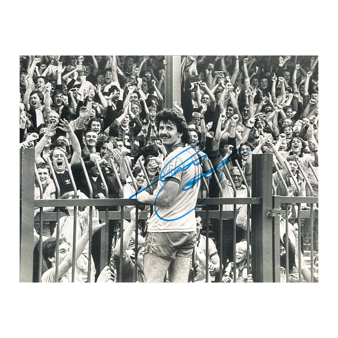 Terry Curran Signed Sheffield Wednesday 16x12