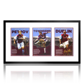 Stiliyan Petrov, Andy Townsend, Dion Dublin Signed Aston Villa Deluxe Mount Frame