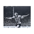 Andy Gray Signed Wolverhampton Wanderers 10x8