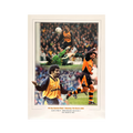 Don Goodman Signed Wolverhampton Wanderers 16x12 Image