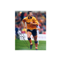 Steve Bull Signed Wolverhampton Wanderers 10x8